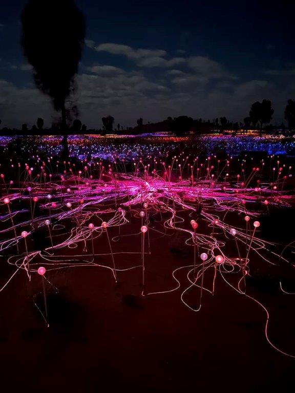 Nighttime view of the Field of Light installation at Uluru, showing hundreds of illuminated orbs in pink, purple, blue, and red, connected by glowing lines across the dark landscape with silhouetted trees in the background.